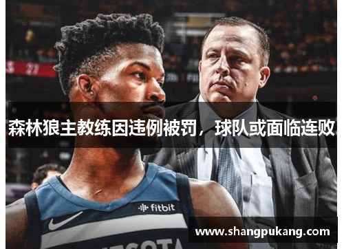 森林狼主教练因违例被罚，球队或面临连败