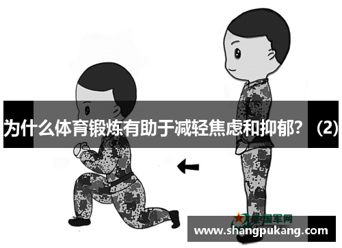 为什么体育锻炼有助于减轻焦虑和抑郁？ (2)