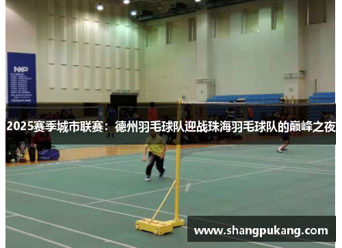 2025赛季城市联赛：德州羽毛球队迎战珠海羽毛球队的巅峰之夜