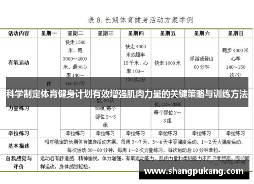 科学制定体育健身计划有效增强肌肉力量的关键策略与训练方法
