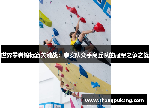 世界攀岩锦标赛关键战：泰安队交手商丘队的冠军之争之战